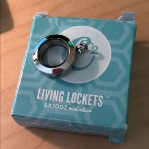 Mini silver living lockets